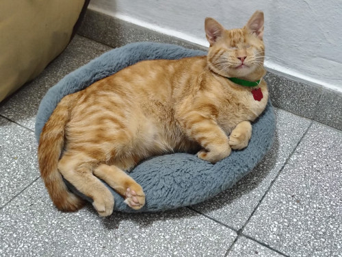 Ojitos