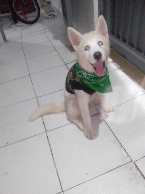 Max
