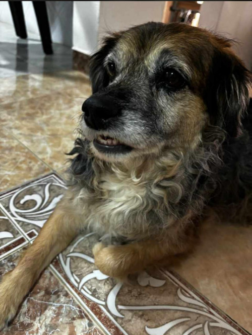 Perla