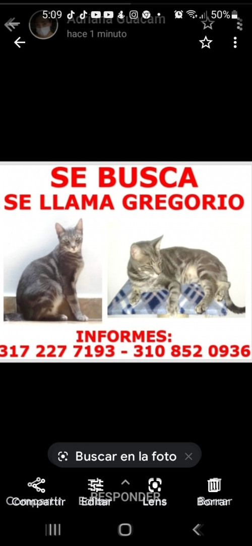 Gregorio