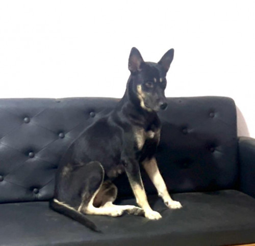 Kira