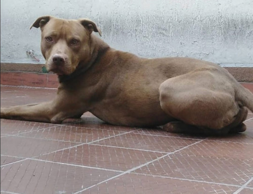 Zeus