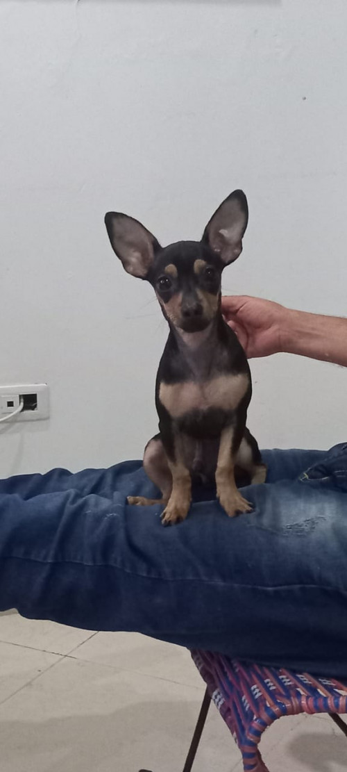 Luki