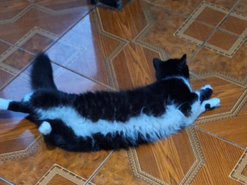 Pepa