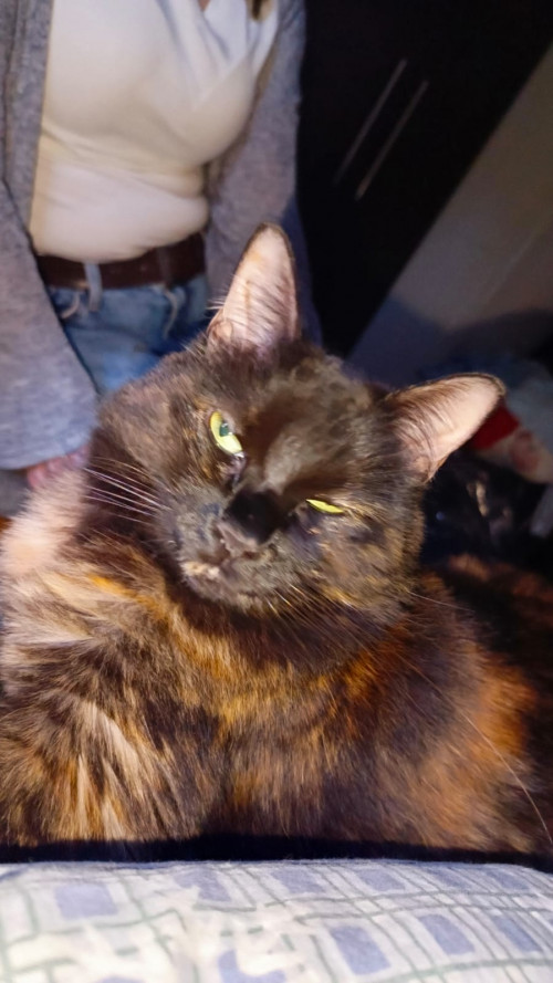 Lu