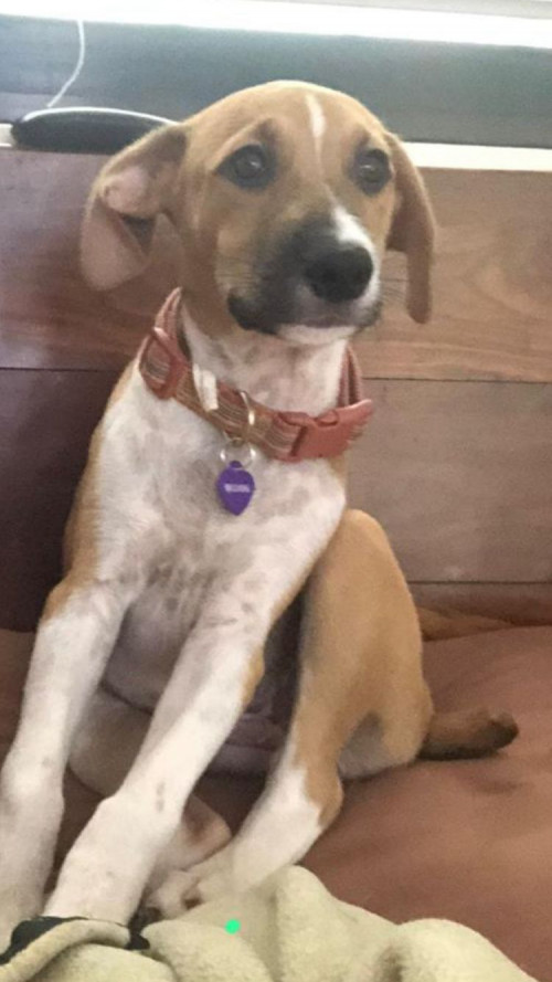 Nina