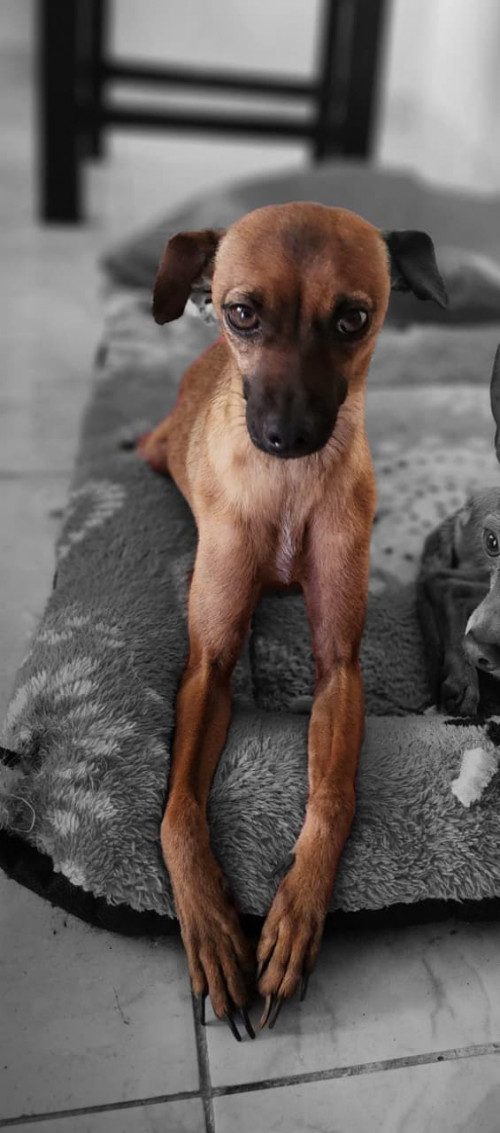 Lupita