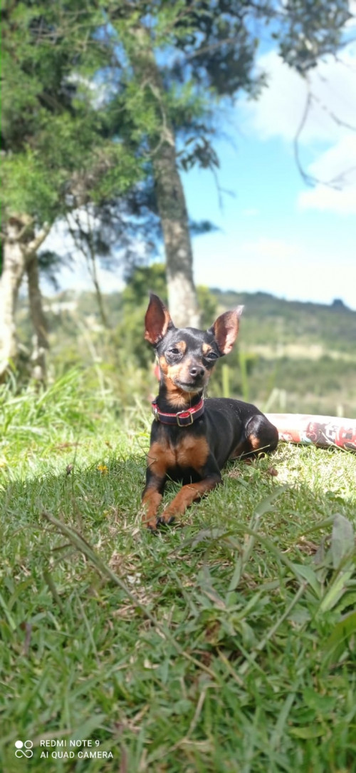 Teo