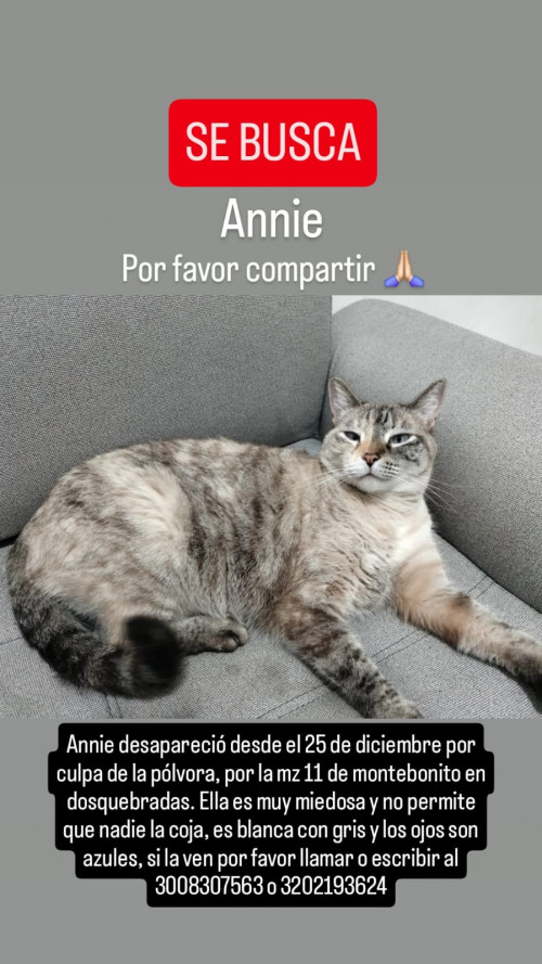 Annie