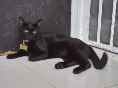 Sombra