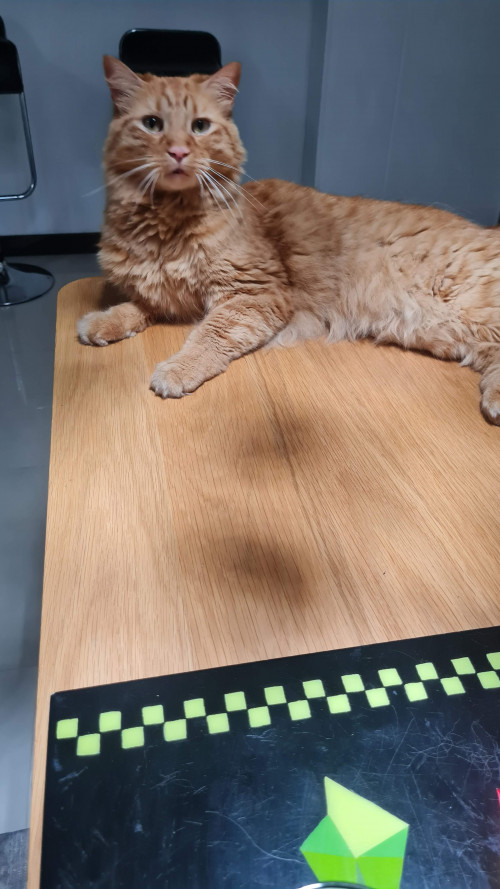 Ragnar