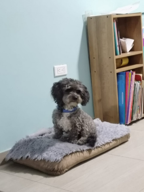 Coco