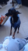 Foto de Timoteo en  Bogotá #0
