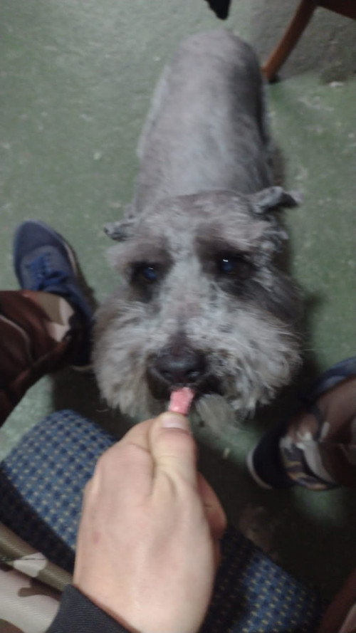 Toby