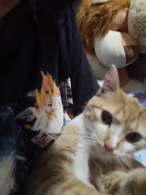 Kira