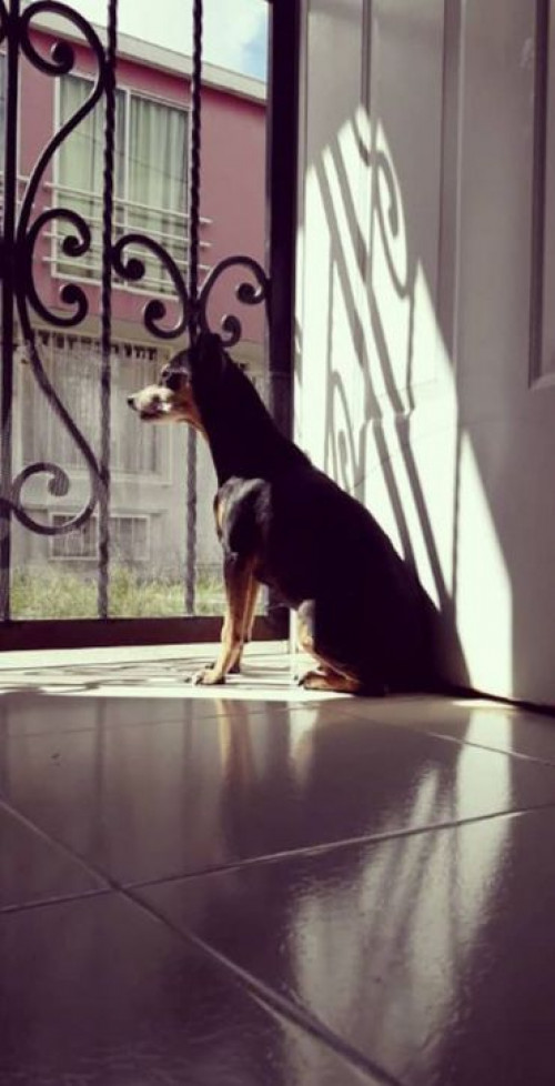Lupita