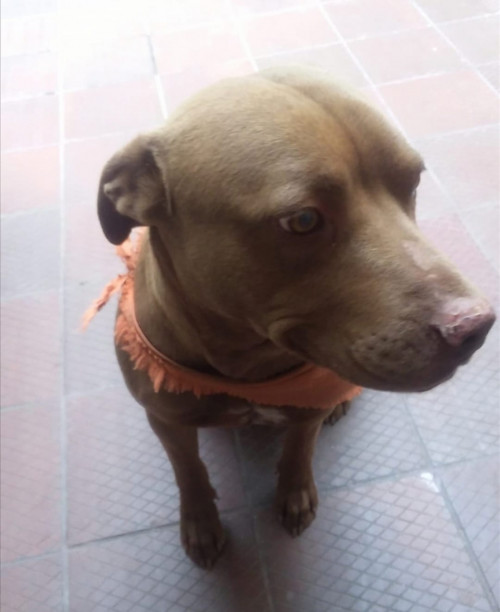 Zeus