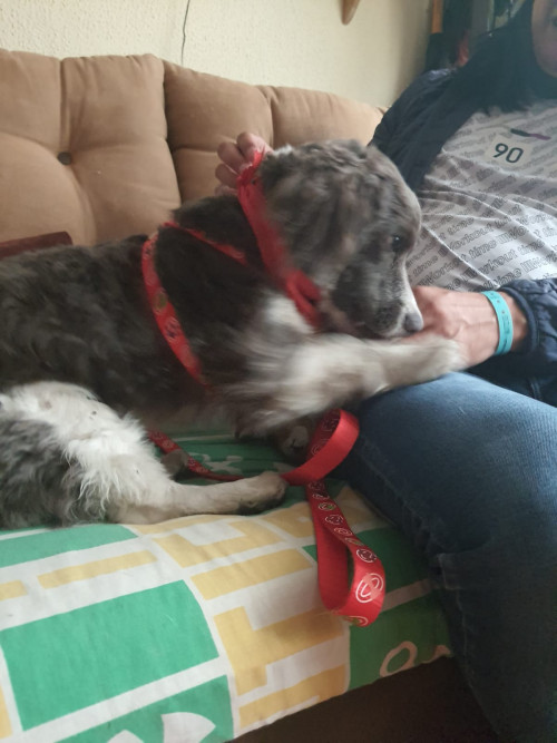 Milo