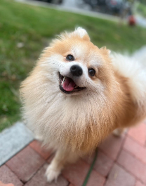 Kay