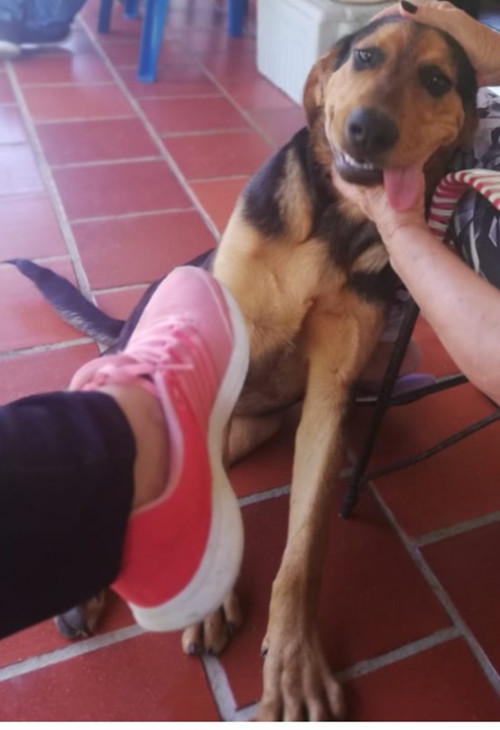 Chester