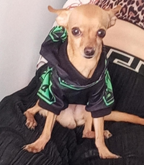 Muñeco