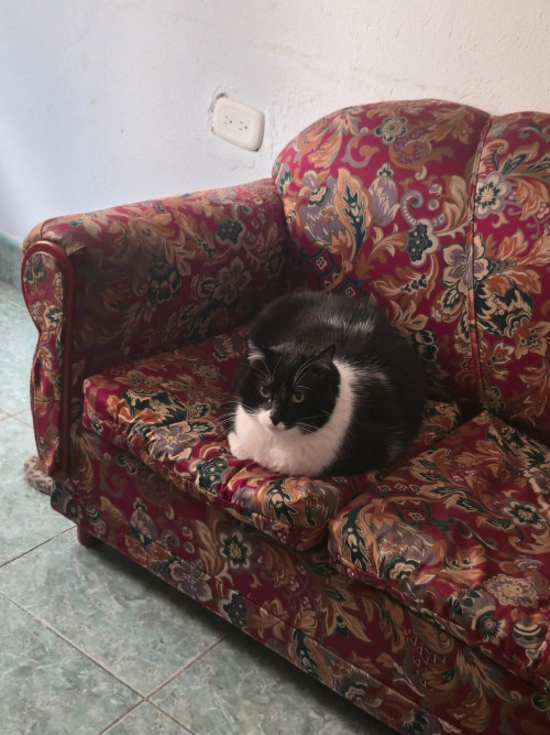 Max