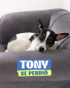 Foto de Tony en  Bogotá #1