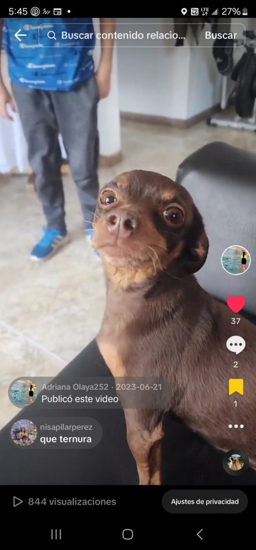 Estrellita