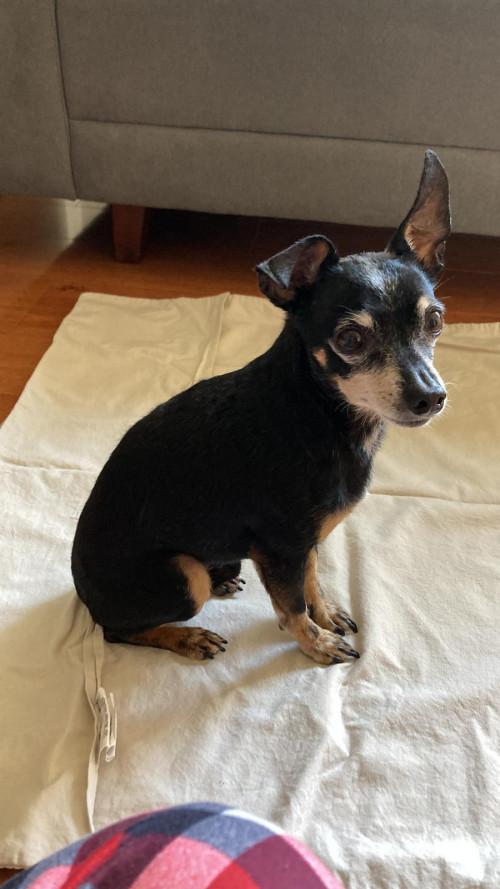 Milo