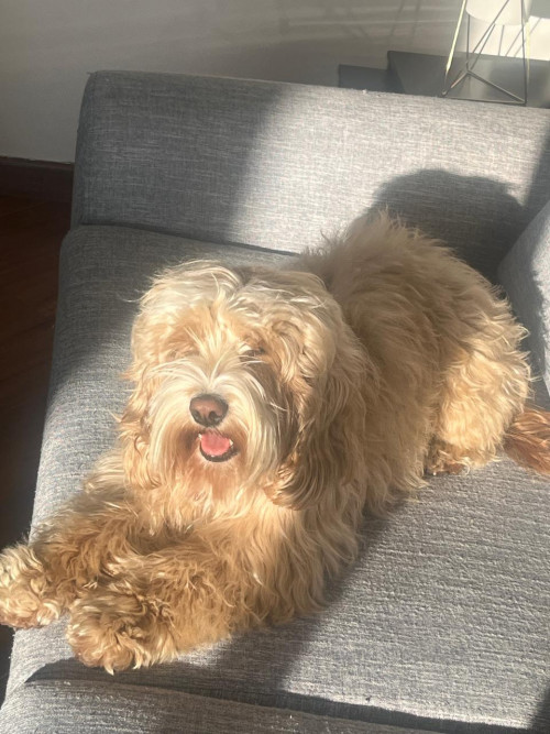 Gretta