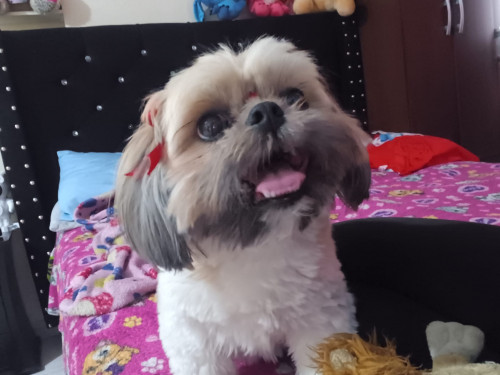 Mia