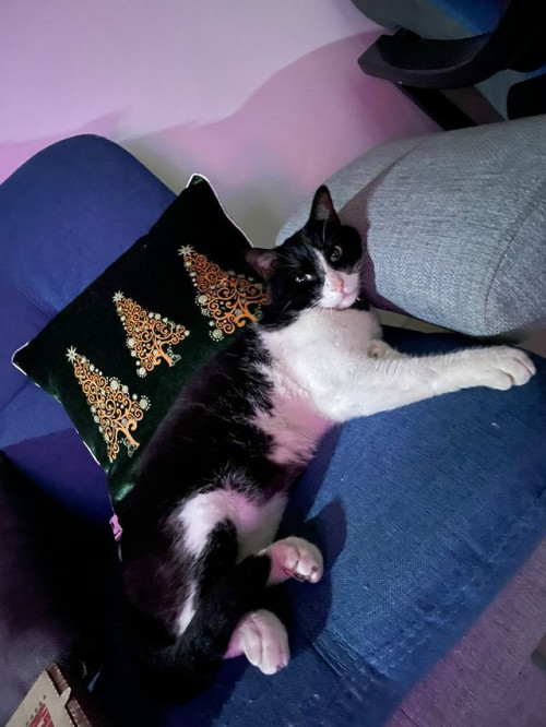 Keanu 