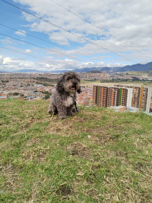 Coco