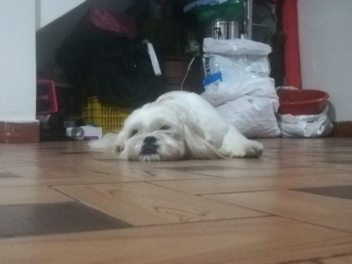 Chouji