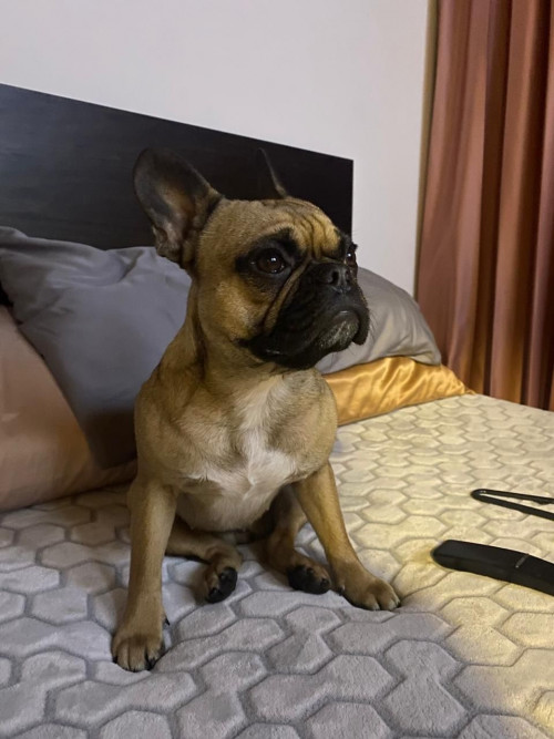 Lupita
