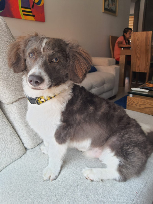 Milo