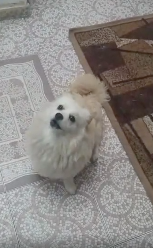 Max