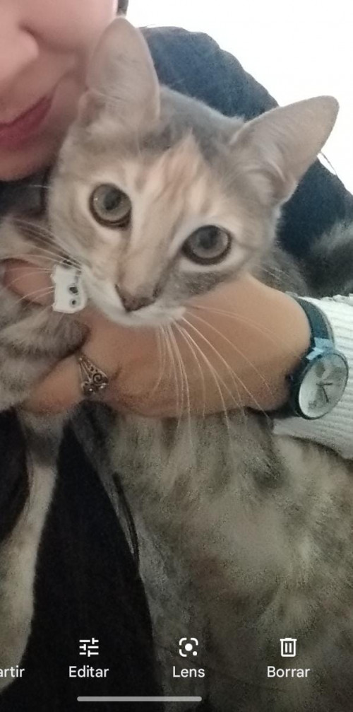 Luna