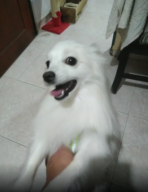 Ralph