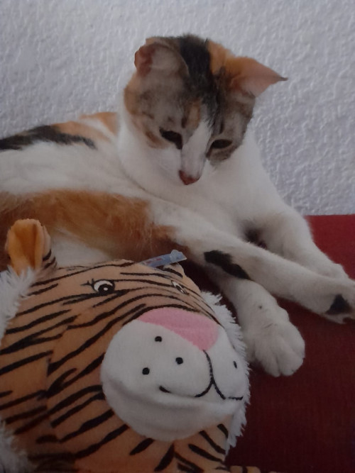 Nala
