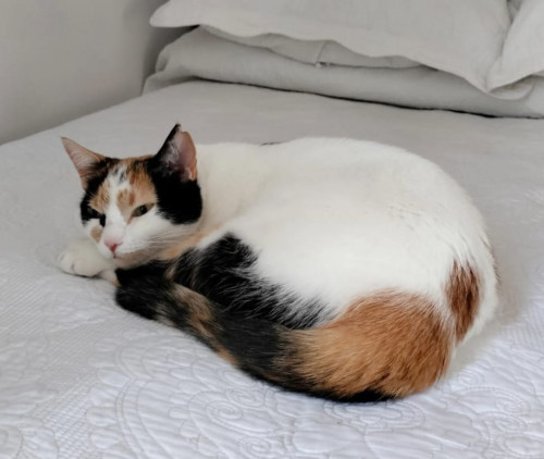 Luna