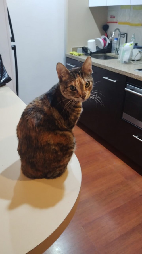 Kiara