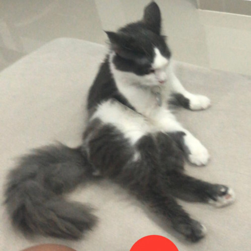 Kiara