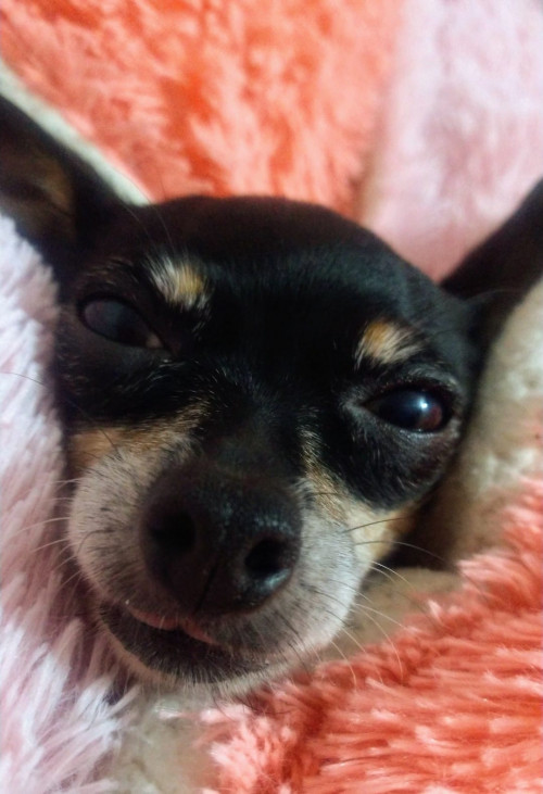Betty