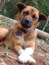 Foto de Aquiles en Yumbo Valle del Cauca #0
