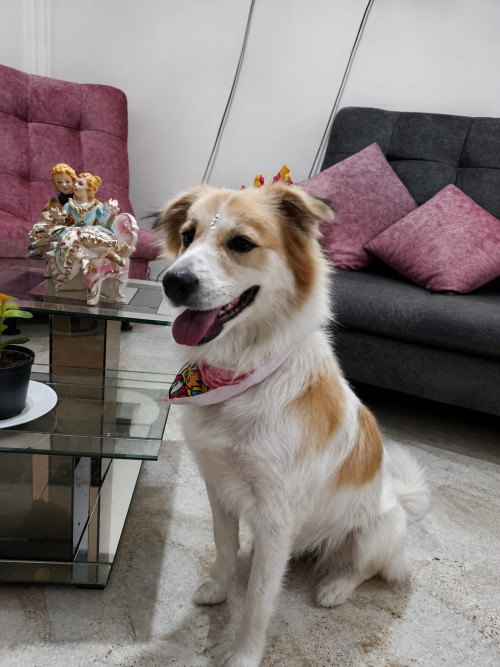 Princesa Violet
