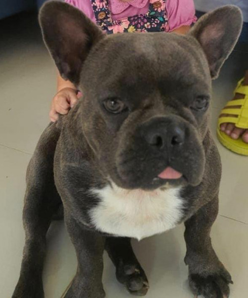 Cardi Y Romeo
