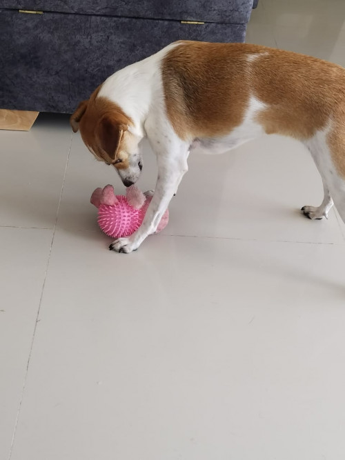 Mia