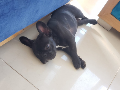 Nina