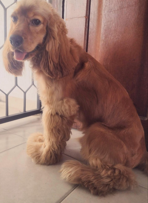 Max